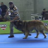 Salzburg Clubschau Mai 06 098 